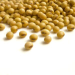 “We’re in a situation now where we are trying to get silos emptied before harvest starts, and it’s looking like that’s not going to happen. Again, it’s because we can’t ship them.” – Martin Vanderloo