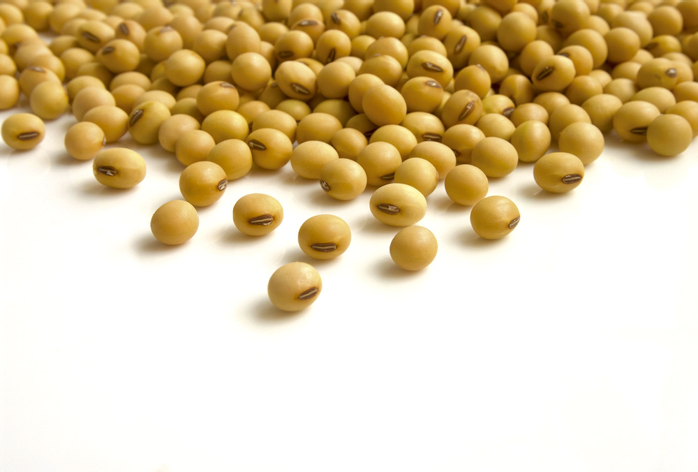 “We’re in a situation now where we are trying to get silos emptied before harvest starts, and it’s looking like that’s not going to happen. Again, it’s because we can’t ship them.” – Martin Vanderloo