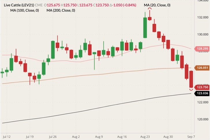 CME October 2021 live cattle (candlesticks) with 20-, 100- and 200-day moving averages (pink, brown and black lines). (Barchart)
