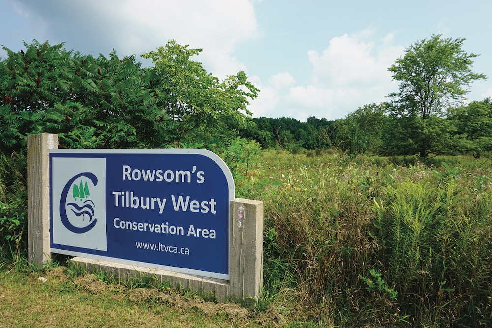 ontario conservation area