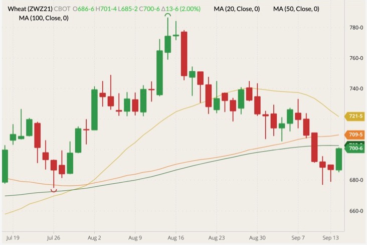 CBOT December 2021 wheat (candlesticks) with 20-, 50- and 100-day moving averages (yellow, orange and dark green lines). (Barchart)
