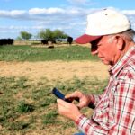 Applications to provide emergency support to producers incurring extraordinary costs to feed livestock due to drought will be accepted until Nov. 1.