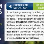 This week on ‘Between The Rows’