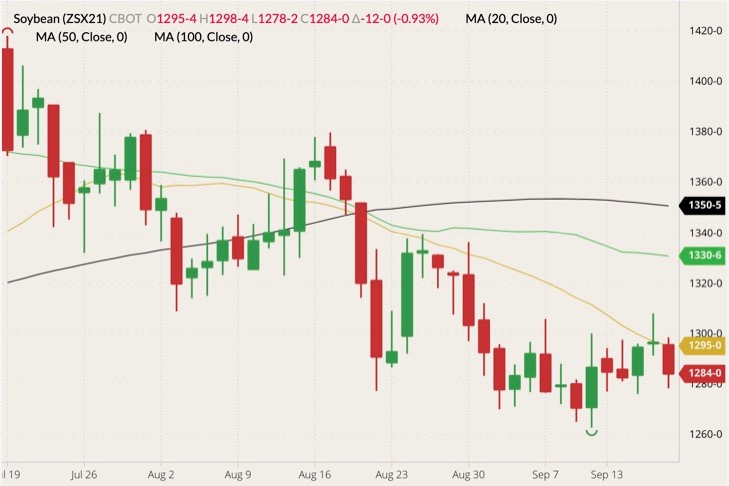 CBOT November 2021 soybeans (candlesticks) with 20-, 50- and 100-day moving averages (yellow, green and black lines). (Barchart)

