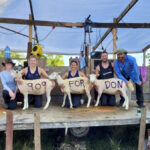 Shearers Amber Petersen, Pauline Bolay and Jean-Michel Popik set a shed record of 909 sheep shorn for Waupoos Island Sheep, owned by Liz and Matt Fleguel. The shearers donated part of their wages to a GoFundMe for colleague Don Metheral, who has been unable to work due to illness.
