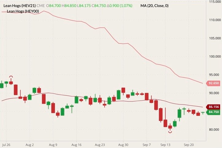 CME October 2021 lean hogs (candlesticks) with 20-day moving average (dark red line) and cash lean hog index (pink line). (Barchart)
