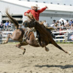 Peter Hallman, of Kitchener, Ont., sits through Pop A Tart’s cat-like buck during the saddlebronc performance at the Orangeville Rodeo. Hallman walked away with the audience’s applause, but Pop A Tart took home the best buck in the show.