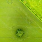 File photo of equipment tracks over a field in England. (Georgeclerk/E+/Getty Images)