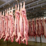 U.S. seeks to protect pork exports if African swine fever hits territories