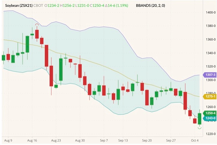 CBOT November 2021 soybeans (candlesticks) with Bollinger bands (20,2). (Barchart)
