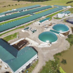 The manure from cows at the Stanton dairy farm near Ilderton is digested in biogas units and the methane produced will shortly be fed into the province’s natural gas grid.