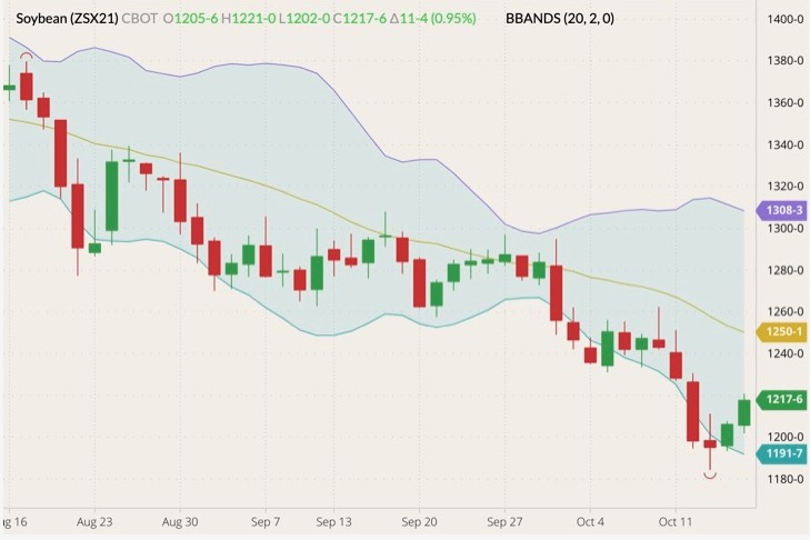 CBOT November 2021 soybeans (candlesticks) with Bollinger bands (20,2). (Barchart)
