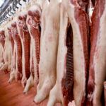 In a normal year, a $400 million drop in exports would be massive news. But Canadian exporters have found alternative markets for Canadian pork, mostly Mexico and the Philippines.