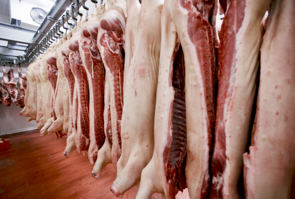 In a normal year, a $400 million drop in exports would be massive news. But Canadian exporters have found alternative markets for Canadian pork, mostly Mexico and the Philippines.