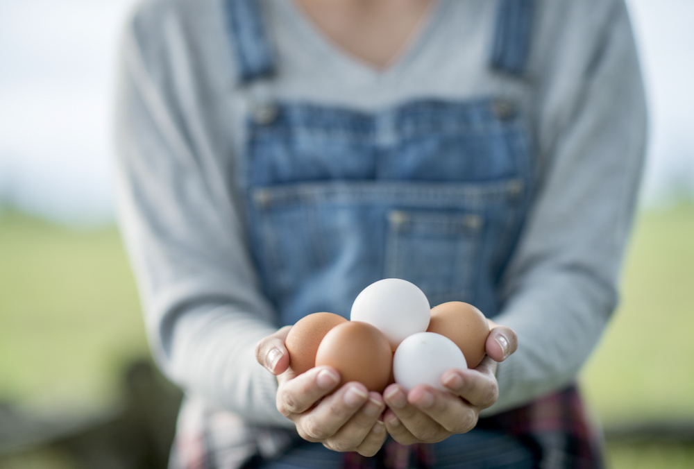 Direct-to-consumer sales are increasingly popular, and G’Day wants to support that.