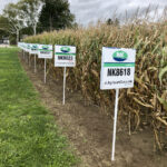 NK Seeds displayed its 86 to 107-day corn with the Agrisure Viptera and Agrisure Durcade packages offered in its new corn product line-up for growers to view at Canada’s Outdoor Farm Show site during the recent Crop Stop in-person event.