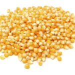 De Dell Seeds specializes in Non-GMO and organic seed corn.