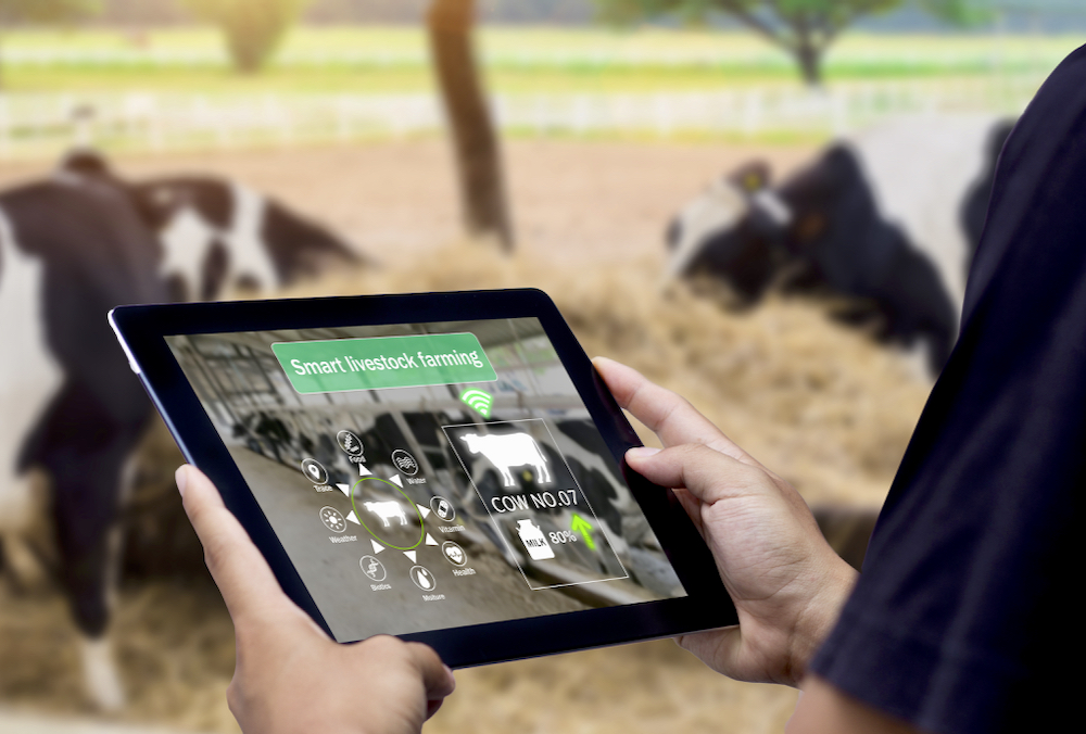 Digital technologies can offer dairy producers myriad data collection options, but experts say implementation is dependent upon the individual needs of the farm.