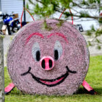 Sixth Line isn’t trying to hog all the limelight, but this bale is known to ham it up for photos.
