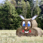 Deer me, the enthusiasm for Amaranths inaugural bale trail is outstanding in this field along 20 Sideroad.