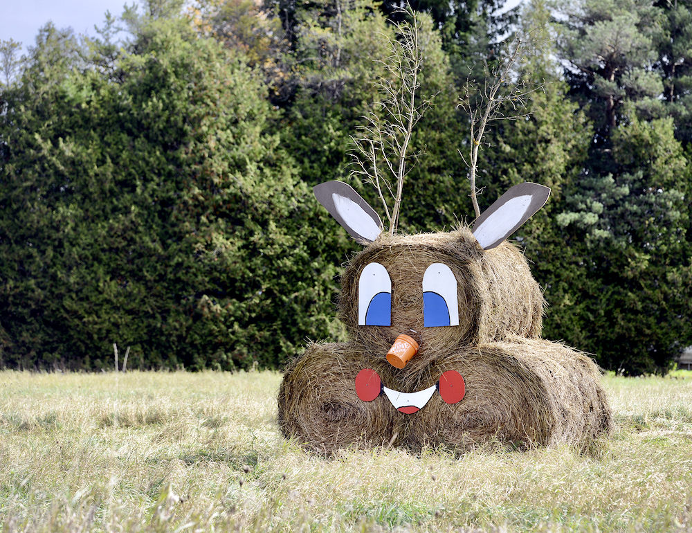 Deer me, the enthusiasm for Amaranths inaugural bale trail is outstanding in this field along 20 Sideroad.