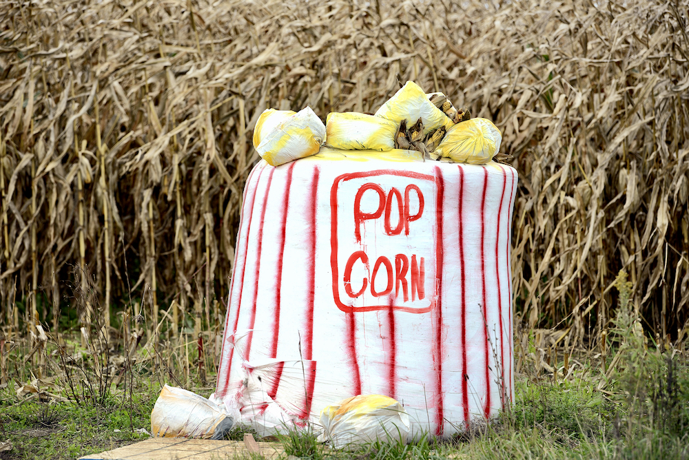 There are some pretty punny bales on 2nd Line, so grab your popcorn and prepare for the corniness to begin.