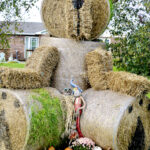 This Teddy bale is looking for some hugs on 10th Line.