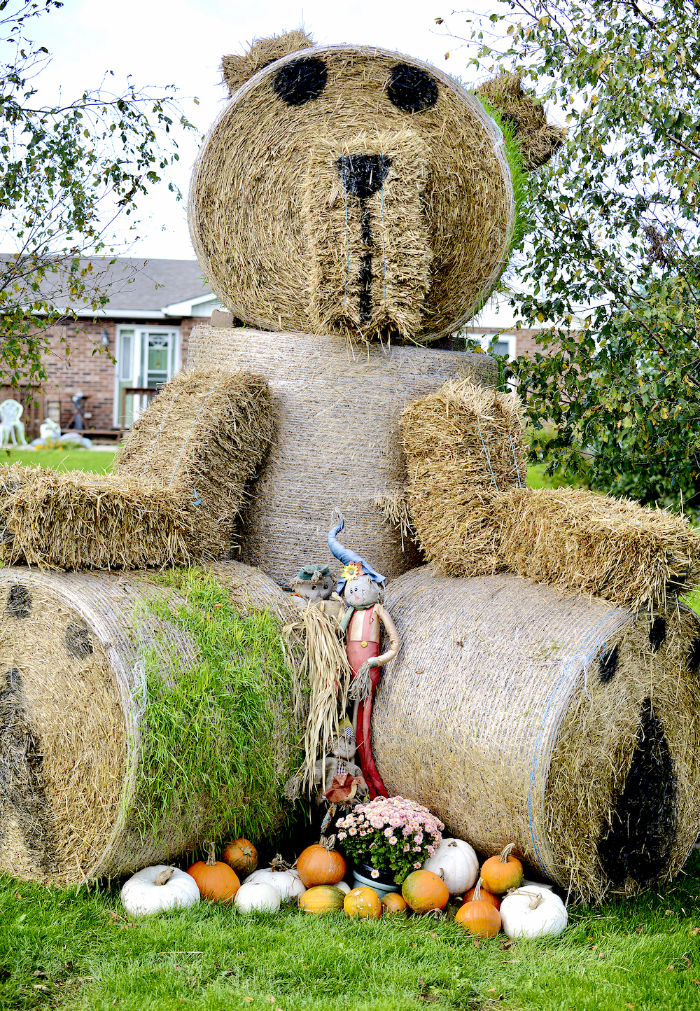 This Teddy bale is looking for some hugs on 10th Line.