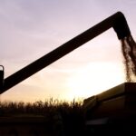 Early yield reports for corn are lower than expected in Ontario, and are now expected to come in near 9.3 million tonnes instead of the projected 9.6 million tonnes.