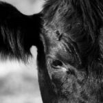 Photo: russokm1105/iStock/GettyImages