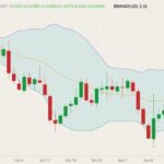 CBOT January 2022 soybeans (candlesticks) with Bollinger bands (20,2). (Barchart)