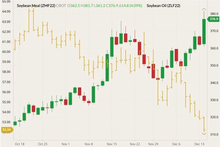 CBOT January 2022 soybean meal (candlesticks) with January 2022 soybean oil (yellow O/H/L/C, left column). (Barchart)
