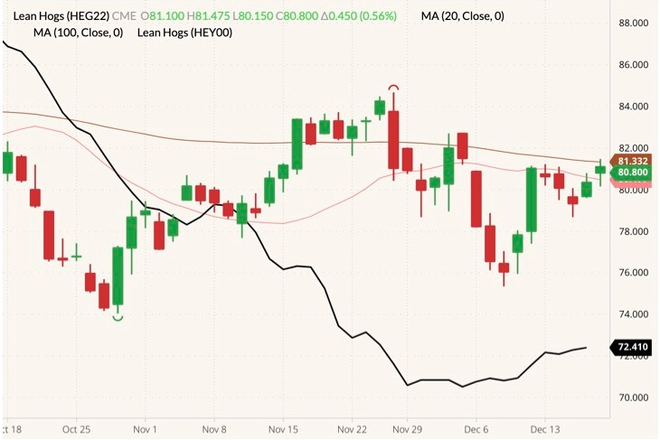 CME February 2022 lean hogs (candlesticks) with 20- and 100-day moving averages (yellow and brown lines) and CME lean hog index (black line). (Barchart)
