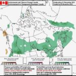Environment Canada’s forecast probabilities of precipitation for the January-through-March period. (Weather.gc.ca)