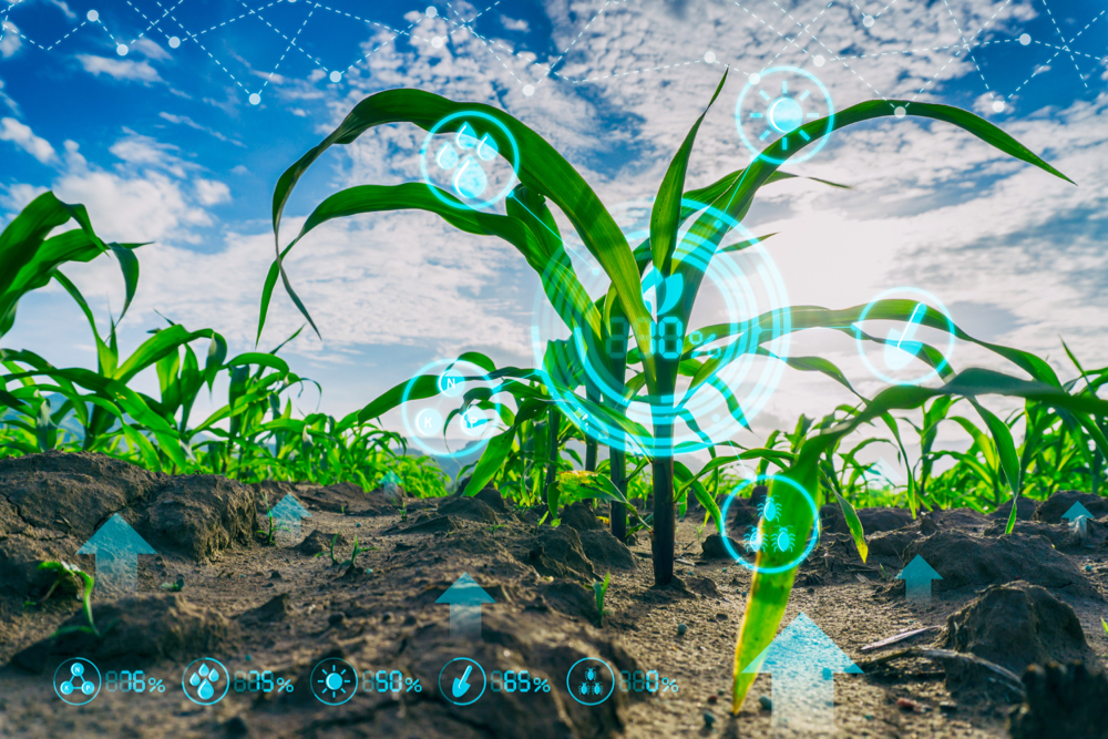 Agronomy research grows on local, international level