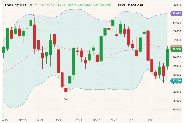 CME February 2022 lean hogs (candlesticks) with Bollinger bands (20,2). (Barchart)
