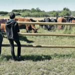 Up to $8 million in funding is available for projects that will help farmers tell their story to consumers.