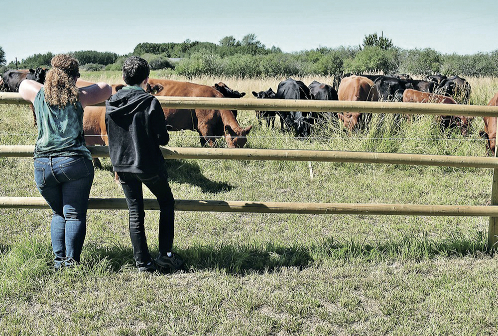 Up to $8 million in funding is available for projects that will help farmers tell their story to consumers.