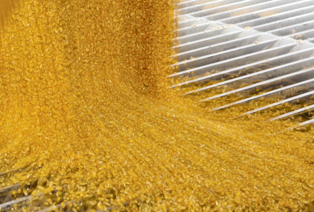 In January elevator bids for corn were the highest they’ve been since August 2021 and bids from ethanol processors were at a 20 to 30 cent per bushel premium.