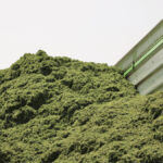 The goal of producing high quality haylage and silage is to minimize variability and help lactobacillus to dominate during the ensiling process.