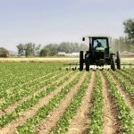 Stacking three types of mechanical weed control is nearly as efficient as using herbicides, according to organic crop production researchers.