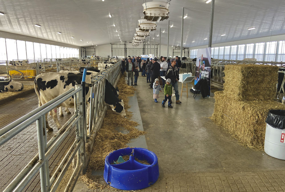 VIDEO: Woolwich dairy farm bids “adieu” to memory of devastating fire