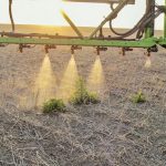 In 2015, Amazone had developed technology capable of identifying weeds in fallow fields and selectively spraying them. Now the company is field testing a sprayer that can identify weeds in a growing crop.