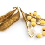 Soybean markets poised to respond based on war footing