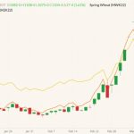 CBOT May 2022 wheat (candlesticks) with MGEX May 2022 wheat (yellow line) and K.C. May 2022 wheat (orange line). (Barchart)