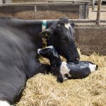 Speakers announced for Southwest Ontario Dairy Symposium