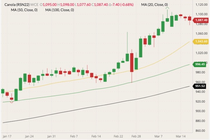 ICE July 2022 canola (candlesticks) with 20-, 50- and 100-day moving averages (yellow, green and black lines). (Barchart)

