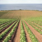 “Doing nothing is not an option. Doing nothing costs businesses and farmers significantly. But choosing sustainability has to be sustainable, and that goes for the financials as well.” – Daniel Metherington
