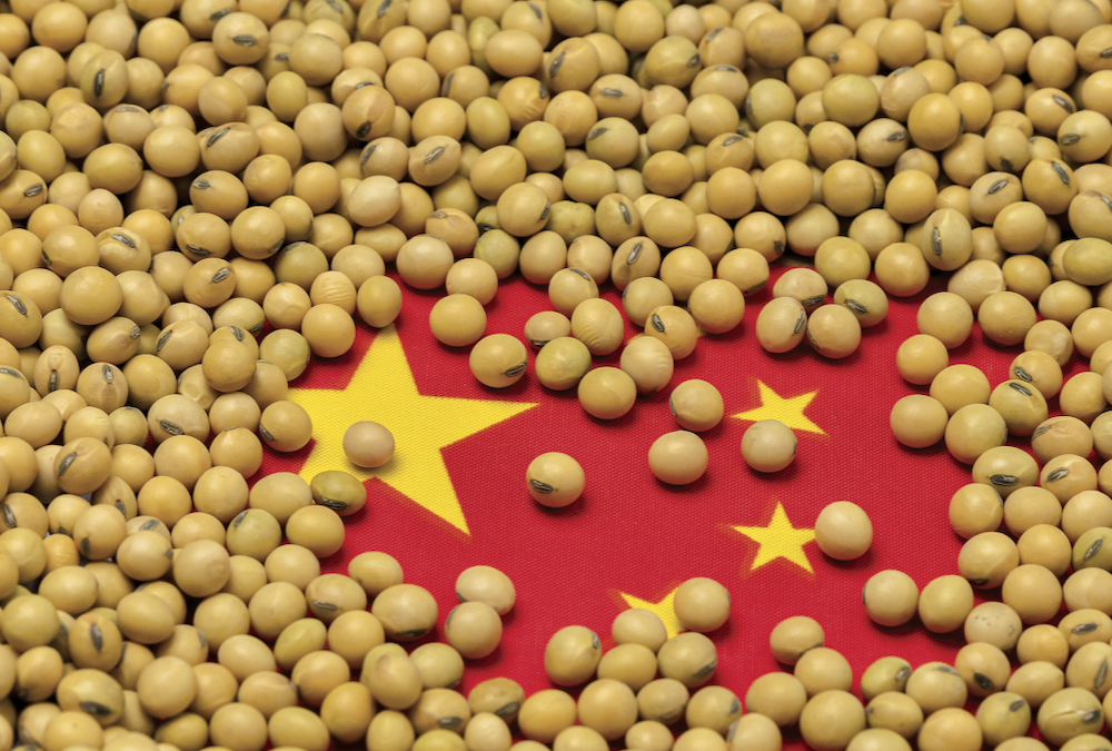 China’s soybean imports beat market expectations