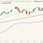 CME June 2022 lean hogs (candlesticks) with 20- and 50-day moving averages (pink and dark red lines) and CME’s cash lean hog index (blue line). (Barchart)